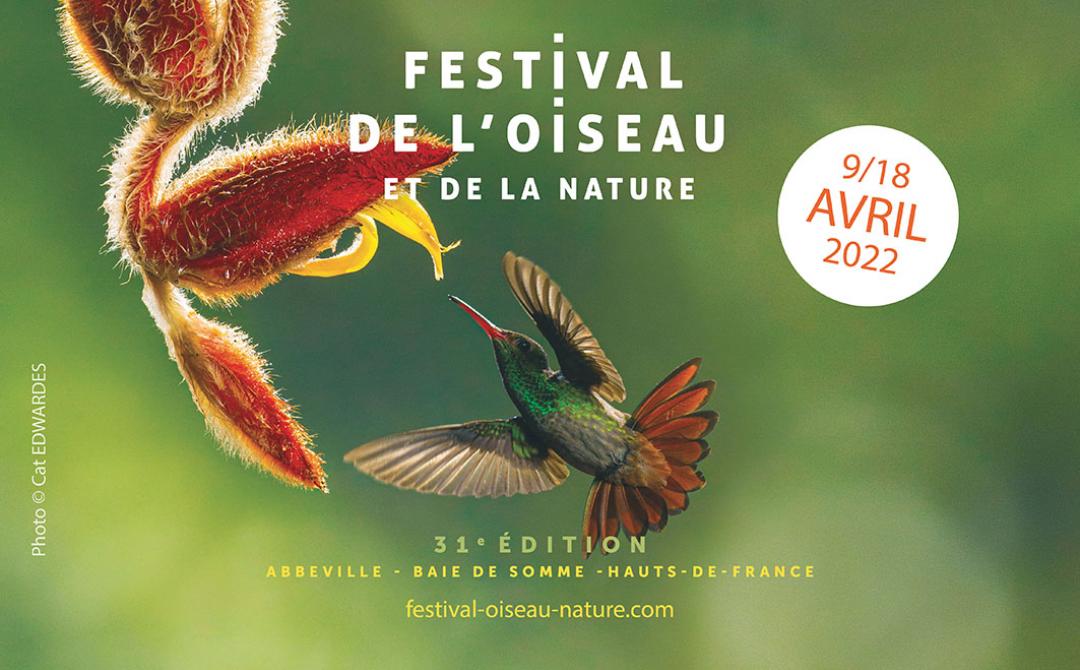 Affiche du 31ème Festival de l'Oiseau et de la Nature